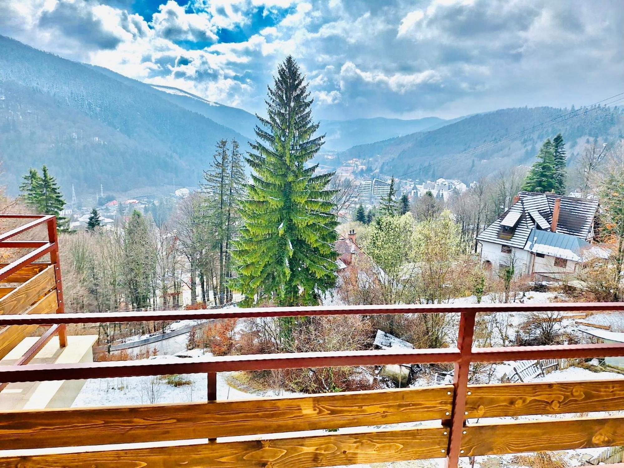 Vilă Stone House Sinaia